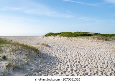 Loose sand below grassy dunes with rooted plant life, an entire ecosystems on the ocean front mounds