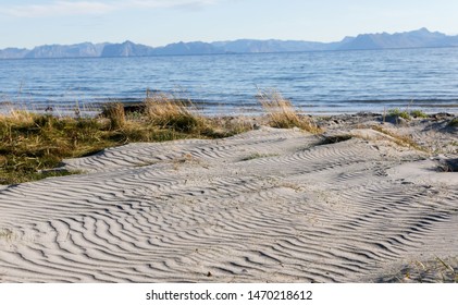 Loose Sand Built By Aeolian Processes 