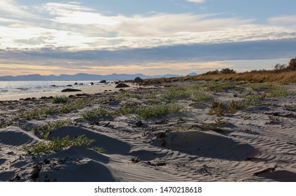 Loose Sand Built By Aeolian Processes 