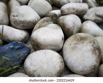 Loose Stone In The Small Home Garden. 