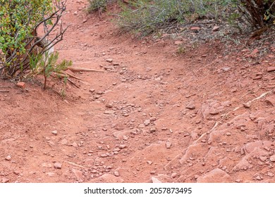 Lorax Trail In Carbondale Colorado