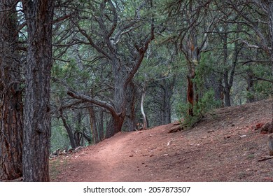 Lorax Trail In Carbondale Colorado