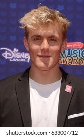 LOS ANGELES - APR 29:  Jake Paul at the 2017 Radio Disney Music Awards at the Microsoft Theater on April 29, 2017 in Los Angeles, CA