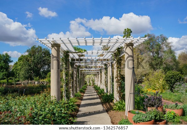 Los Angeles Apr 5 Rose Garden Stock Photo Edit Now 1362576857