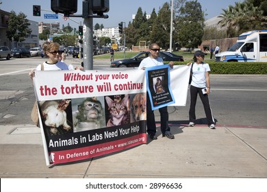 LOS ANGELES - APRIL 22: Animal Rights Activists Protest Animal Research At UCLA On Earth Day, April 22nd, 2009 In Los Angeles.