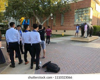 Los Angeles, CA: June 10, 2018: UCLA Graduates Waiting In Line For A Photographer To Take Graduation Photos.   UCLA Is A Public University In The Los Angeles Area.