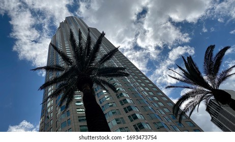 LOS ANGELES, CA, MAR 2020: Looking Up Past Palm Trees At Base Of US Bank Tower Towards Clouds And Blue Sky