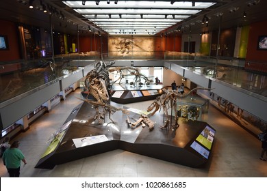 Los Angeles, CA USA - Jan 16, 2018 Natural History Museum Of Los Angeles County Dinosaur Fossils 