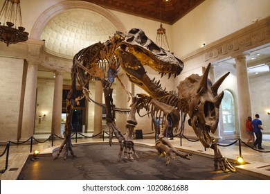 Los Angeles, CA USA - Jan 16, 2018 Natural History Museum Of Los Angeles County Dinosaur Fossils 