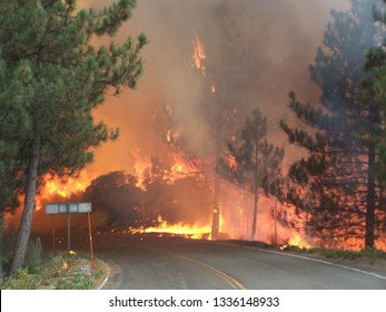 Los Angeles, California / Los Angeles County - August 31 2009: Station Fire Was The Largest Wildfire Of The 2009 California Wildfire Season.