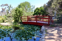 Los Angeles, California: The Doris Japanese Garden At Kenneth Hahn State Recreation Area. Is A State Park Unit Of California In The Baldwin Hills Mountains Of Los Angeles 