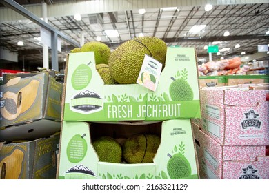 Los Angeles, California, United States - 05-20-2022: A View Of Several Units Of Jackfruit, On Display At A Local Big Box Grocery Store.