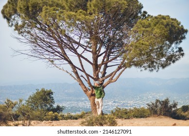 Los Angeles, California, USA - April 11, 2022: A Man Is Standing Next To Wisdom Tree And Looking To The City