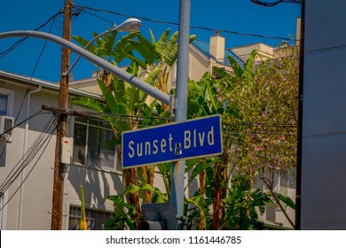 Los Angeles, California, USA, AUGUST, 20, 2018: Outdoor View Of Sunset Blvd Street Sign With Palm Trees In Hollywood, California