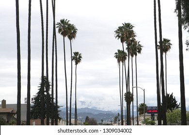 262 South central los angeles Images, Stock Photos & Vectors | Shutterstock