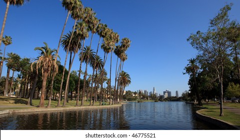 Los Angeles City- Park And Skyline