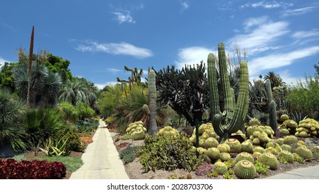 The Los Angeles County Arboretum And Botanic Garden.