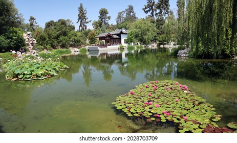 The Los Angeles County Arboretum And Botanic Garden, 