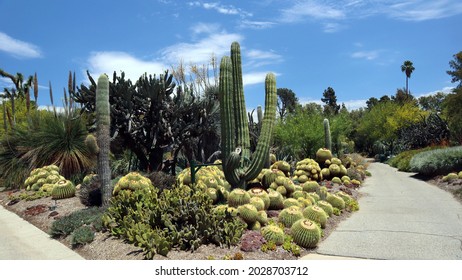 The Los Angeles County Arboretum And Botanic Garden,