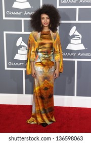 LOS ANGELES - FEB 10:  Esperanza Spalding Arrives To The Grammy Awards 2013  On February 10, 2013 In Los Angeles, CA.