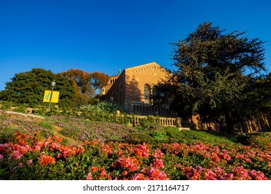 Los Angeles, FEB 11 2015 - Sunny View Of The Powell Library Of UCLA