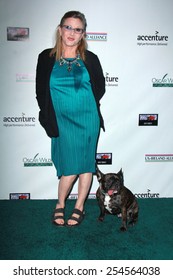 LOS ANGELES - FEB 19:  Carrie Fisher at the Oscar Wilde US-Ireland Pre-Academy Awards Event at a Bad Robot on February 19, 2015 in Santa Monica, CA