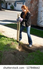 LOS ANGELES - FEB 9:  Emily Wilson Digging New Fence Post Hole At The 4th General Hospital Habitat For Humanity Fan Build Day At The 191 E. Marker Street On February 9, 2013 In Long Beach, CA