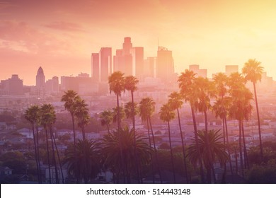 Los Angeles hot sunset view with palm tree and downtown in background. California, USA theme - background. Art photography