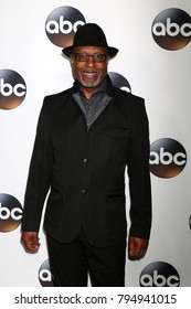 LOS ANGELES - JAN 15:  James Pickens Jr At The 2018 NAACP Image Awards At Convention Center On January 15, 2018 In Pasadena, CA