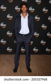 LOS ANGELES - JUL 15:  Alfred Enoch At The ABC July 2014 TCA At Beverly Hilton On July 15, 2014 In Beverly Hills, CA