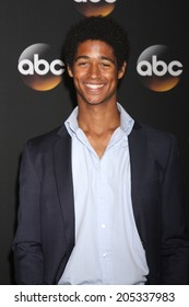 LOS ANGELES - JUL 15:  Alfred Enoch At The ABC July 2014 TCA At Beverly Hilton On July 15, 2014 In Beverly Hills, CA