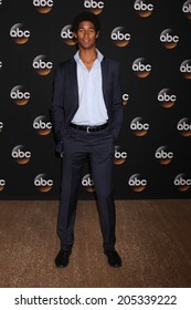 LOS ANGELES - JUL 15:  Alfred Enoch At The ABC July 2014 TCA At Beverly Hilton On July 15, 2014 In Beverly Hills, CA