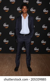 LOS ANGELES - JUL 15:  Alfred Enoch At The ABC July 2014 TCA At Beverly Hilton On July 15, 2014 In Beverly Hills, CA