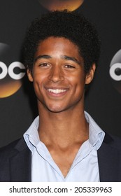 LOS ANGELES - JUL 15:  Alfred Enoch At The ABC July 2014 TCA At Beverly Hilton On July 15, 2014 In Beverly Hills, CA