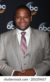 LOS ANGELES - JUL 15:  Anthony Anderson At The ABC July 2014 TCA At Beverly Hilton On July 15, 2014 In Beverly Hills, CA