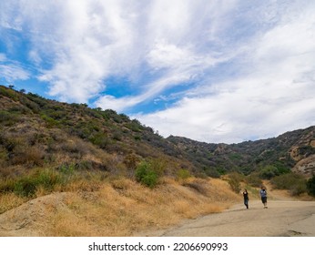 Los Angeles, JUL 20 2014 - Hiking In Hollywood Hills Trail