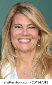 LOS ANGELES - JUL 8:  Lisa Whelchel At The Crown Media Networks July 2014 TCA Party At The Private Estate On July 8, 2014 In Beverly Hills, CA