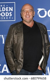 LOS ANGELES - July 17:  Dean Norris At The Oceana And The Walden Woods Project Present: Rock Under The Stars With Don Henley And Friends At The Private Residence On July 17, 2017 In Los Angeles, CA