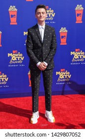 LOS ANGELES - JUN 15:  Noah Schnapp Arrives For The MTV Movie & TV Awards 2019 On June 15, 2019 In Santa Monica, CA