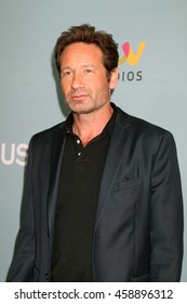 LOS ANGELES - JUN 16:  David Duchovny At The Aquarius Season 2 Premiere Screening Arrivals At The Paley Center For Media On June 16, 2016 In Beverly Hills, CA