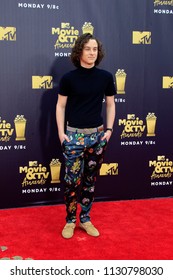 LOS ANGELES - JUN 16:  Wyatt Oleff At The 2018 MTV Movie And TV Awards At The Barker Hanger On June 16, 2018 In Santa Monica, CA