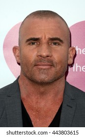 Dominic purcell