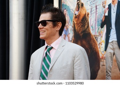 LOS ANGELES, MAY 31ST, 2018: Actor Johnny Knoxville At The Premiere Of Action Point At The Arclight Theatre In Hollywood.