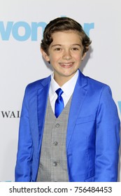 LOS ANGELES - NOV 14:  Noah Jupe At The 