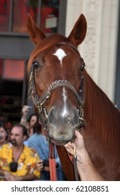 LOS ANGELES - SEP 30:  Atmosphere Horse Arrives At The 