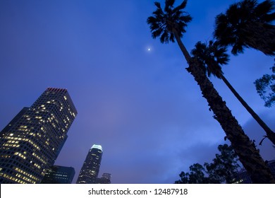 1,315 Los Angeles Night Palm Trees Images, Stock Photos & Vectors