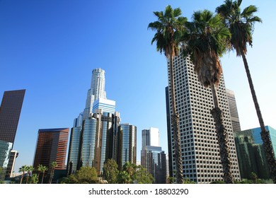 Los Angeles- Skyline And Palm Trees