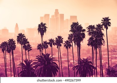 Los Angeles skyline with palm trees in the foreground