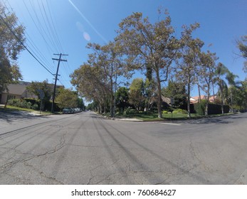 Los Angeles Street With Overhead Cables And Trees