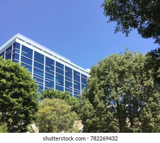 Los Angeles, USA - August 07, 2014: Building Emerging From The Trees Of West Hollywood Neighborhood Streets With A Clear Blue Sky In The Background.